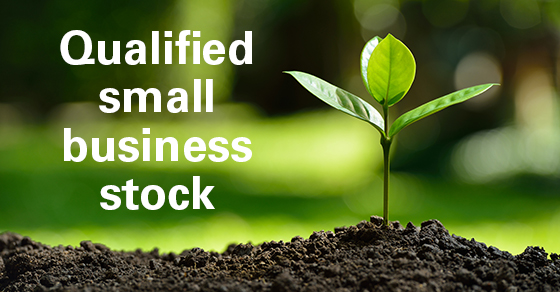 Qualified Small Business stock individual tax planning