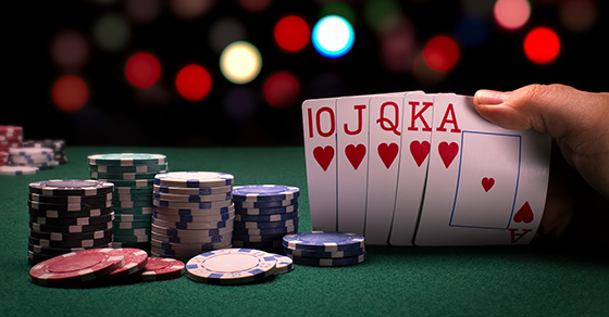 Individual, CPA - Gambling Winnings and losses