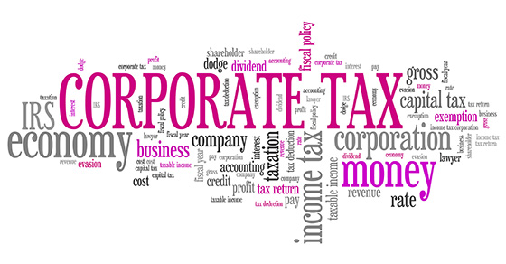 CPA Business and Personal Tax Expert - C Corporations