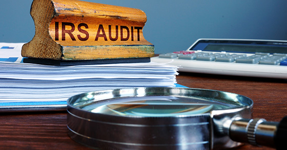 CPA Business and Personal Tax Expert - Business Tax Audits